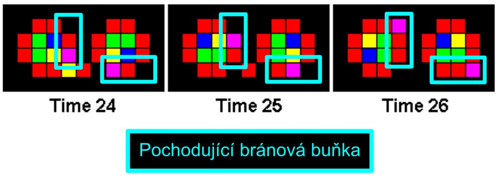 Stav 5, který mimo jiné plní úlohu brány, vykazuje jistou podobnost s Tempestiho smyčkou (viz. kapitola 3.3.4). Ta se na rozdíl od Bylovy smyčky dokáže replikovat do všech 4 možných směrů naráz.