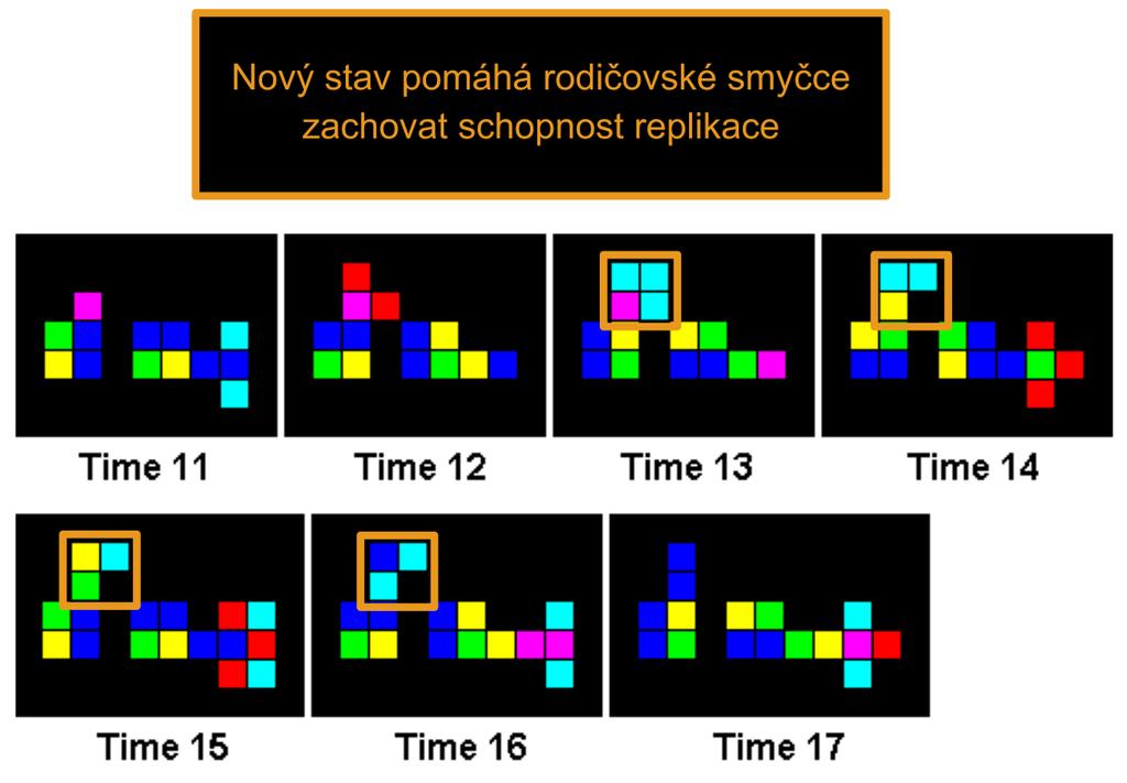 Obrázek 5.19: 11. až 17. krok vývoje urychlené verze smyčky pro původní strukturu Chou-Reggia smyčky. Obrázek 5.
