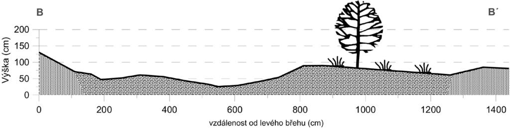 erozní břeh, 10 niva, 11 terénní stupeň, 12 balvan. Fig. 2: Fluvial geomorphological map of Sihelský potok Brook (0,6 0,8 km).