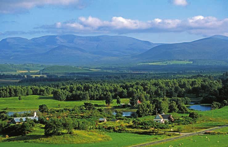 34 Skotsko SPEYSIDE SPEYSIDE Co je Speyside? Je to oficiálně vymezená oblast, ale všechno, co se dozvíte, je to, co (nebo kde) Speyside není.
