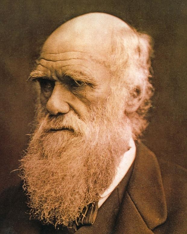 Fylogeneze je historický proces rekonstruovaný na základě evoluční teorie Charles Darwin (1809 1882) obrovské množství živočišných druhů nebude Boží dílo, ale přírodní výběr tvrzení dokládá