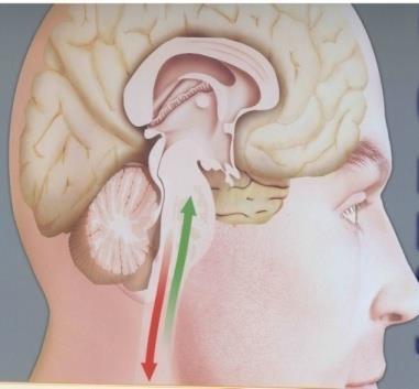 Realismus v v použití opioidů při léčbě chronické bolesti je více než žádoucí