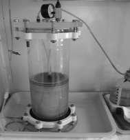 Kolonové experimenty Metodika: experimentální podmínky teplota 20±1 C variabilní acidita a solnost ZTR (5-35 g/l RL)