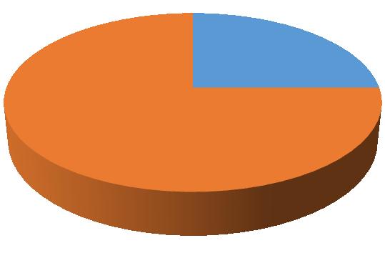 3% 3% 3% 49% 42% Finanční ohodnocení Vlastenectví Nové zkušenosti Kvůli rodině Jiné Obr. 16. Graf odpovědi k otázce č.