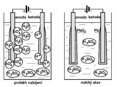 Nabíjení Při nabíjení se vytváří kyselina sírová (HSO) a elektrolyt houstne. Po nabití je na kladné elektrodě tmavohnědý oxid olovičitý (PbO) a na záporné elektrodě tmavošedé houbovité olovo.