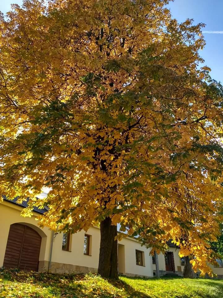 Zpravodaj Vanovice