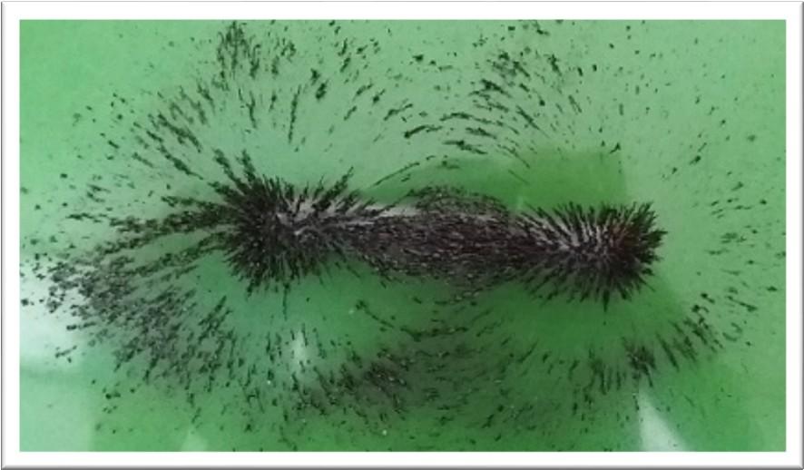 Obrázek 12: Indukční čáry tyčového magnetu 4.2. Magnetické pole Země Volně zavěšený magnet nebo magnetka se natočí vždy severojižním směrem.