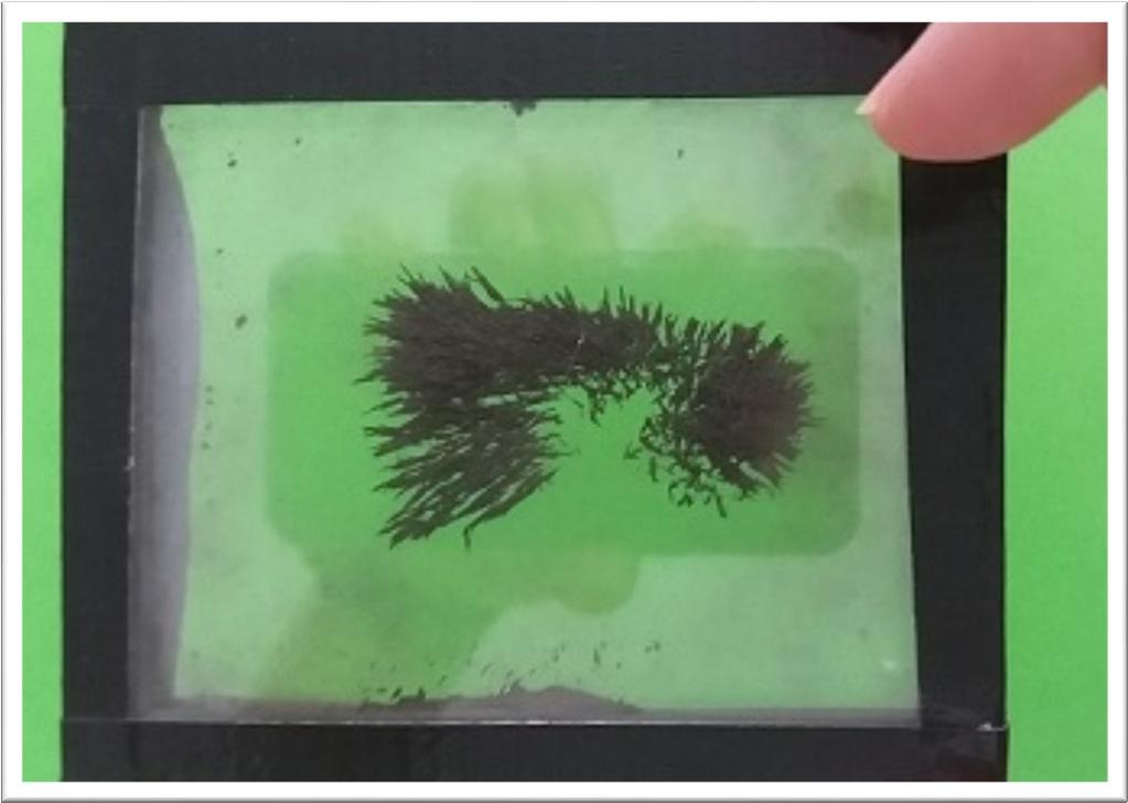 Obrázek 38: Demonstrační okénko magnetického pole Magnety Silné