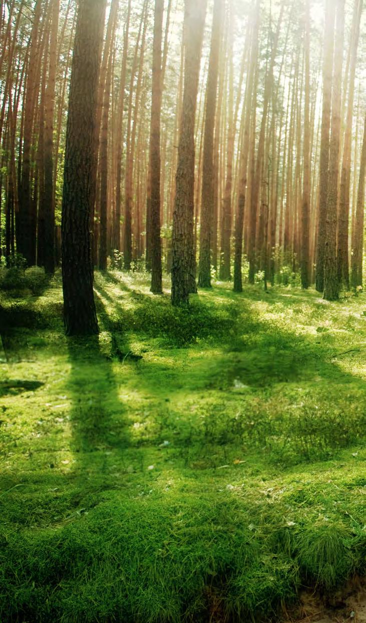 SPOLEHLIVOST SYNONYMUM DESIGNU SPOĹAHLIVOSŤ SYNONYMUM DIZAJNU DRU se zavázala k ochraně životního prostředí.
