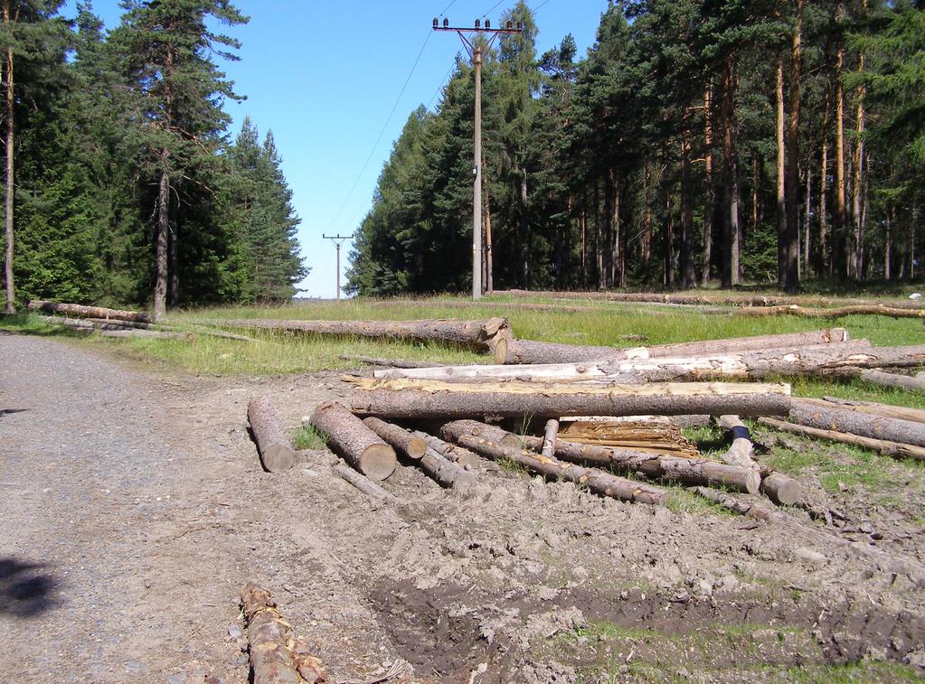 ně nalétávali na skládku smrkového a borového dříví (Obr. 1). Většina stromů, soustředěných na skládce, odumřela před několika lety na stojato. Ohrožený druh (Škorpík 2017).