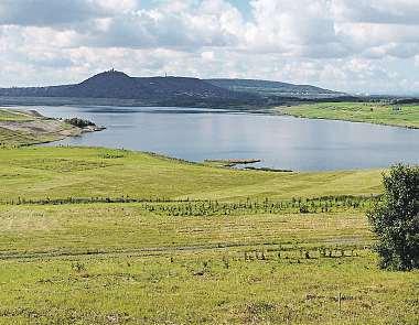 Na dvakrát větší ploše, než zabírá samotné jezero, se rýsují zelené plochy. Jen vysazené lesy rostou na území větším než 280 hektarů.