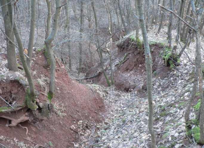 se v něm polohy pevné a odolné vůči zvětrávání, což bylo zřejmé jak z odkrytých svahů, čeleb tunelů, tak i z vytěžené horniny na skládce rubaniny.