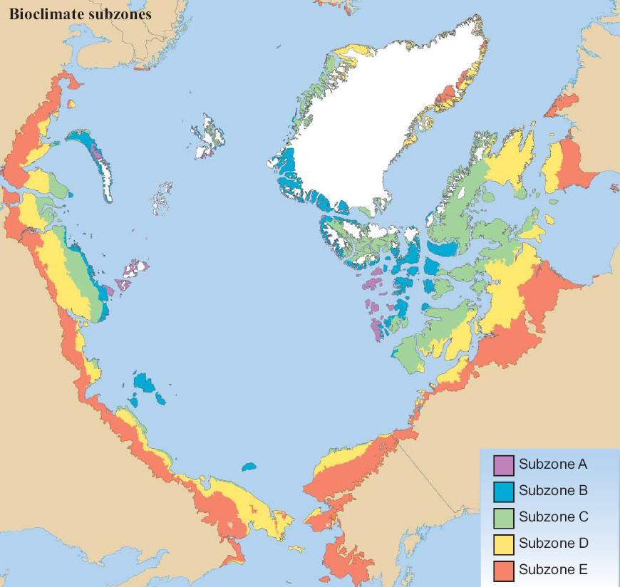 Vymezení a zonace arktické oblasti Cirkumpolární arktická vegetační mapa Walker et al.