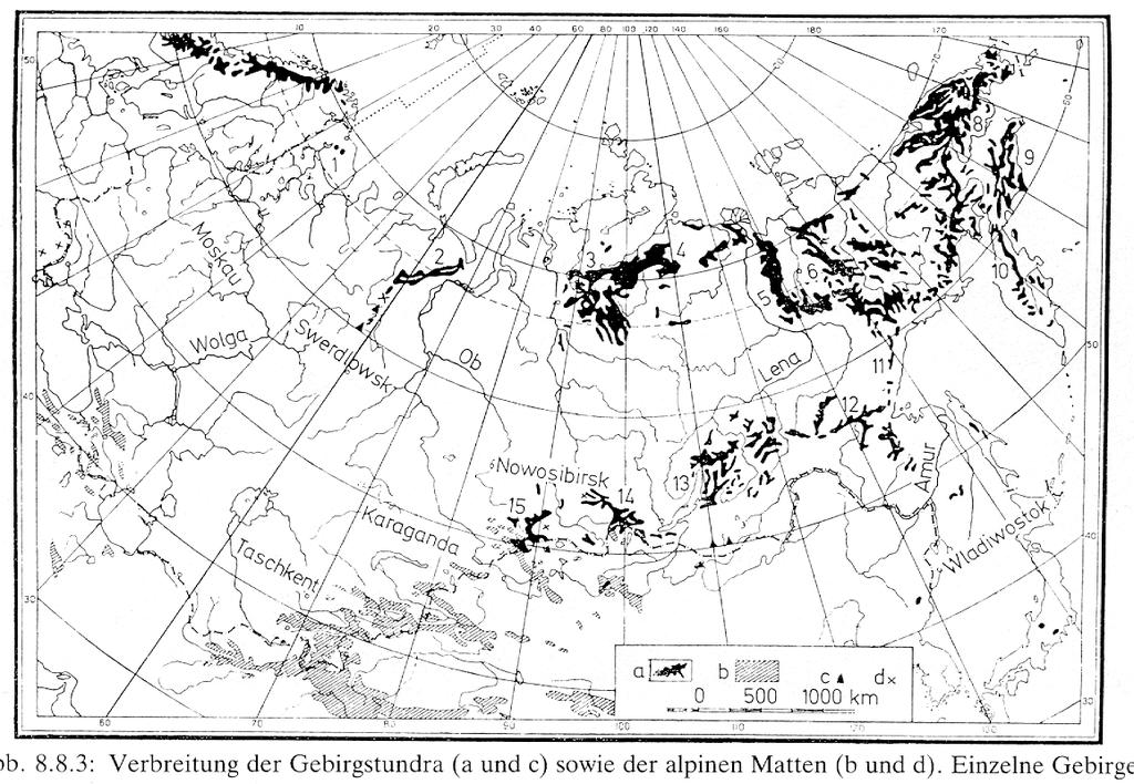 Horská tundra v severní Eurasii