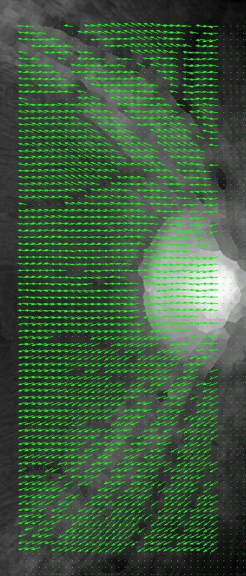 figure(5); imshow(vst,[]); impixelinfo; hold on quiver(ykon',xkon',-cos2,sin2, 'green') Obr. 5.