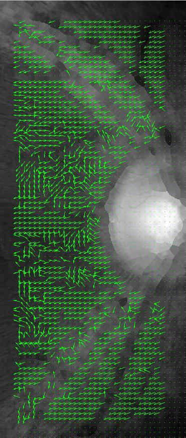 quiver(ykon',xkon',cos2,-sin2, 'green') Obr. 5.