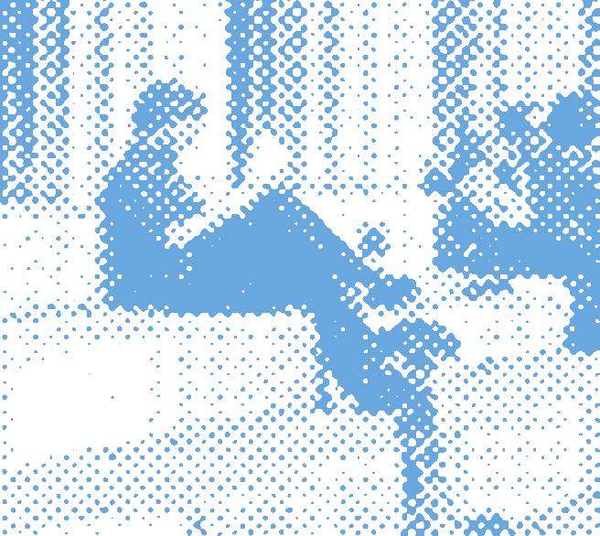 Základní informace Poslání: organizace je určena k podpoře osob, které by se mohly dostat, nebo se již dostaly do tíživé životní, zdravotní a sociální situace a k podpoře osob ohrožených sociálním