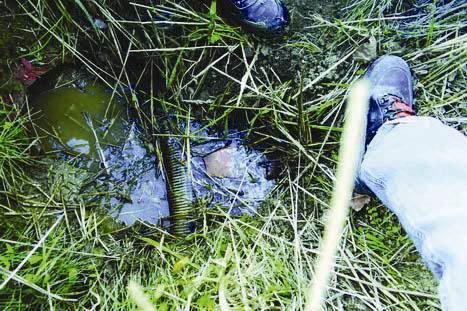 Obr. 3: Rozplavování a vnitřní eroze půdy způsobená neudržovaným drenážním systémem a vytváření zatopených podzemních kaveren (okres Přerov) Odpovědný Období Smlouva Název zpracovatel zpracování 83/