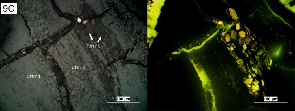 ve fluorescenčním