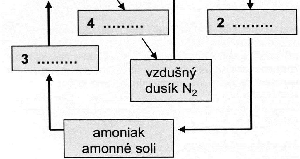Napište rodový název tohoto jehličnanu! Je to:.. 11. Uveďte rodový i druhový název dřeviny, jejíž plody jsou na připojeném obrázku:.
