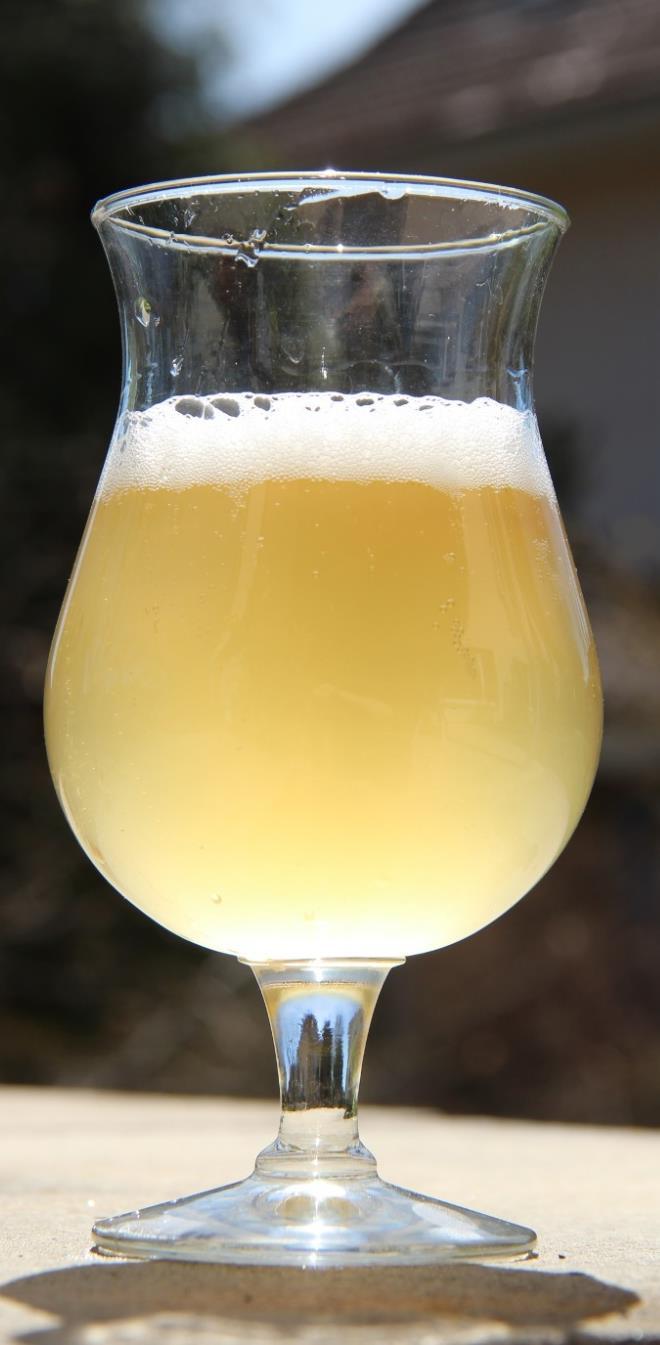 Berliner Weisse OG 1.028-1.032 (7-8 P) FG 1.003-1.