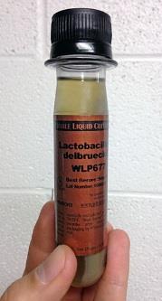 WildBrew Sour-Pitch Lactobacillus plantarum Startér