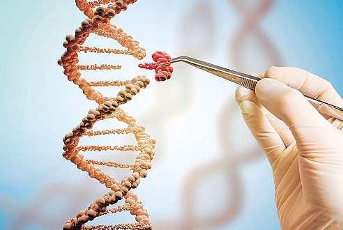 10 14. července 2017 Česká republika Medicína ušitá na míru. Změna Omezené možnosti vědců při pátrání v kartotéce zvané DNA končí.