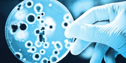 Věda a výzkum / Science and Research Stálá příloha časopisu Mlékařské listy zpravodaj, recenzovaný časopis dle seznamu Rady vlády ČR REKALKULACE PŘEPOČTOVÉ ROVNICE BAKTERIÁLNÍCH ELEKTRONICKÝCH