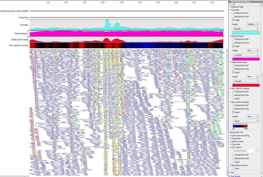 Analýza NGS dat Assembling vytvoření kontigů De-novo Mapování na referenční sekvenci Identifikace variant SNP (SNV) In/del Strukturní