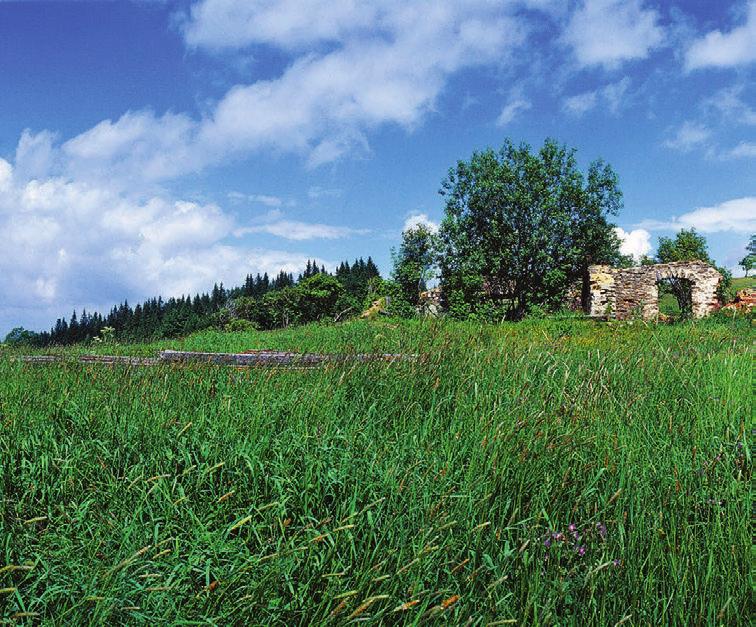 30 Euro 39 29. září 2015 report Prostě to postavím Developer Kreuziger skupuje zaniklou šumavskou obec Zhůří a chce ji obnovit.