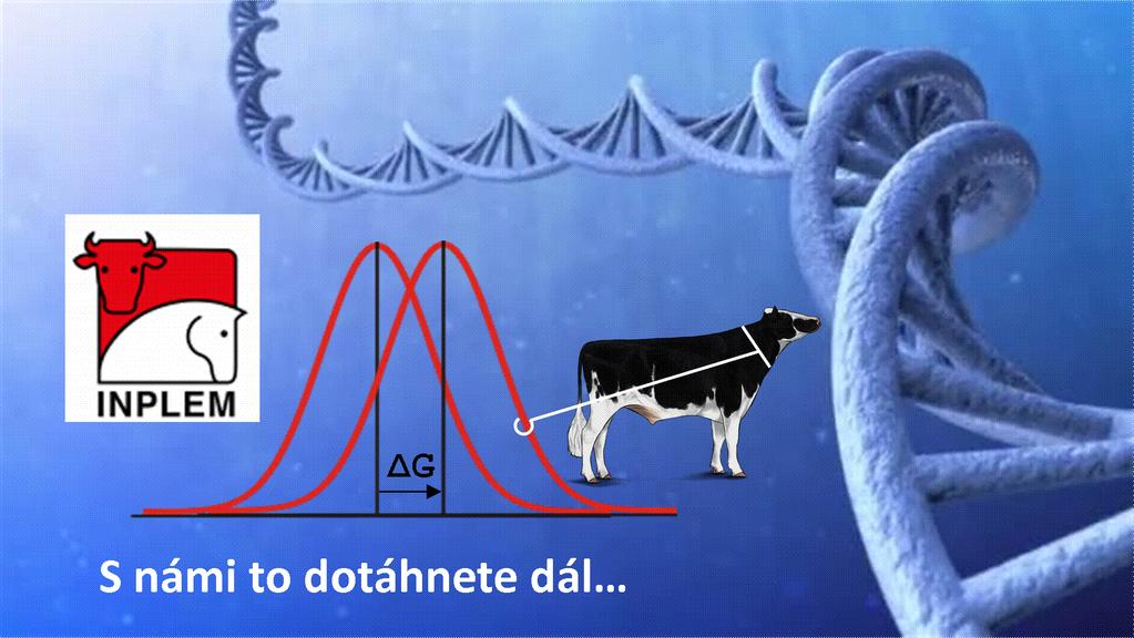 inseminace a plemenářství INPLEM s.r.o.