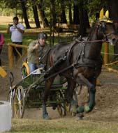V závěrečném parkuru již Erik Zuvač příležitost nepustil a po jediném bezchybném parkuru se stal mistrem dvojspřeží pony roku 2016.