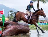 Abík, vpravo dole) FEI Classics 2016/2017 zahajuje Tento víkend 13. - 16.