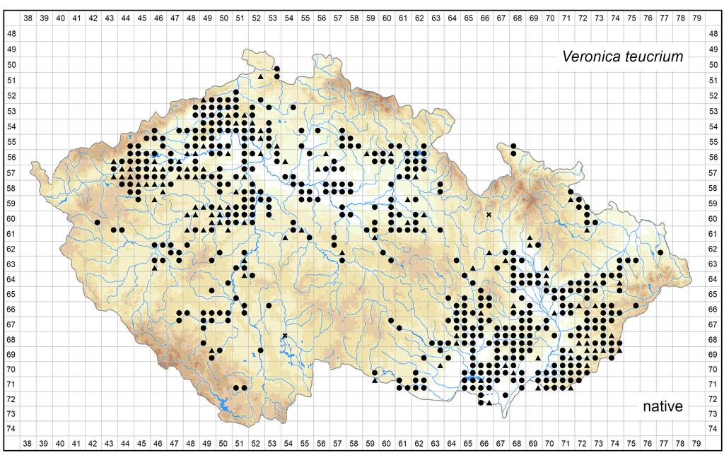 Distribution of Veronica teucrium in the Czech Republic Author of the map: Jiří Danihelka Map produced on: 15-10-2017 Database records used for producing the distribution map of Veronica teucrium