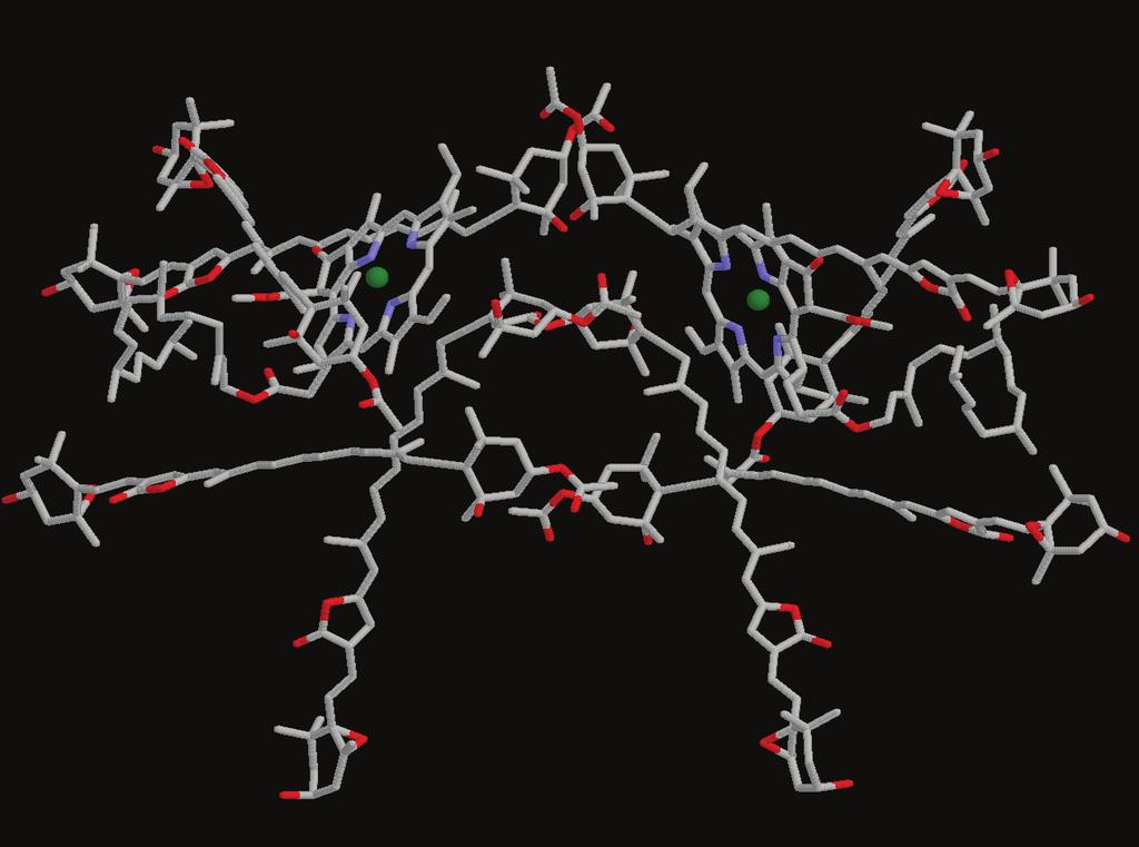 Peridinin chlorophyll-a protein (obrněnky) Vnější antén.