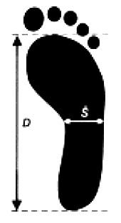 4 Metoda segmentů Obrázek 18: Metoda indexu Srdečný. (Riegerová, Přidalová, Ulbrichová, 2006 Purgarič (1994) rozdělil plantogram pomocí paprsků na jednotlivé segmenty.