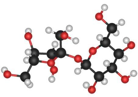 Sylabus Základní principy NMR Spektrální parametry Vztah