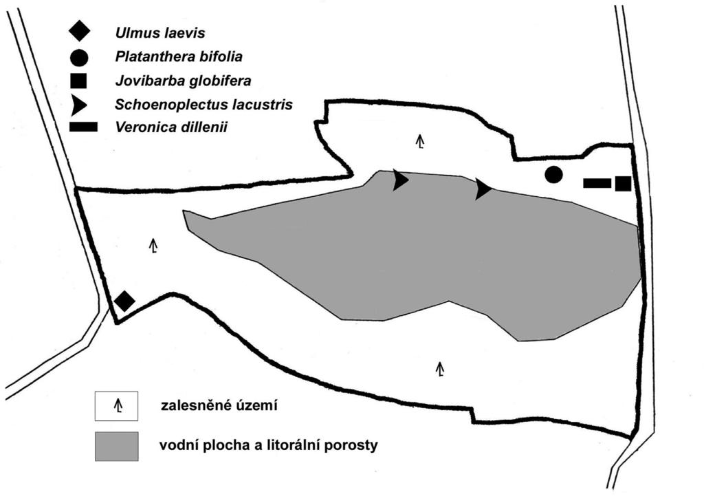 Jiří Malíček: Botanický průzkum přírodní rezervace Jezero Obr. 1.