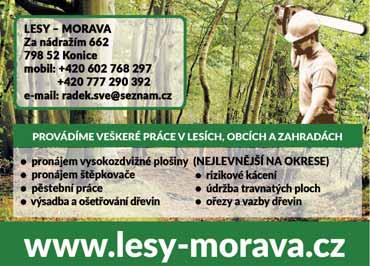 PRAHA, PROSTĚJOV Už jen poslední krůček chybí nohejbalistům TJ Sokol I Prostějov k historickému klubovému úspěchu v dospělé kategorii. Senzačně totiž ovládli první zápas semifinálové série 1.