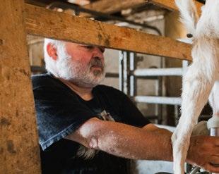 Ivan: Řekl jsem jí, vyber si, podřežeme krky, nastěhujeme zvířata do mrazáku a začneme pěstovat obilí a budeme péct chleba. Budeme mít polovinu starostí. Když nenapeču dnes, napeču zítra.