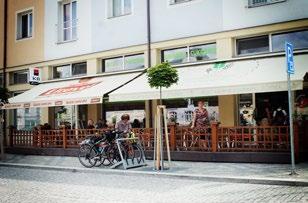 s. Ing. tagros.cz www.tagros.cz Svatokopecké pivo Svatokopecké pivo Ing. Ivo Hrdlička St.
