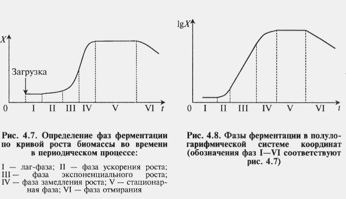 Көпциклді процесс негізінен периодтыққа ұқсайды, бірақ аппараттан шығарыларда ферментациялық сұйықтың бір бөлігі қалып қояды жəне келесі ферментацияға егістік(посевной) материал ретінде қызмет
