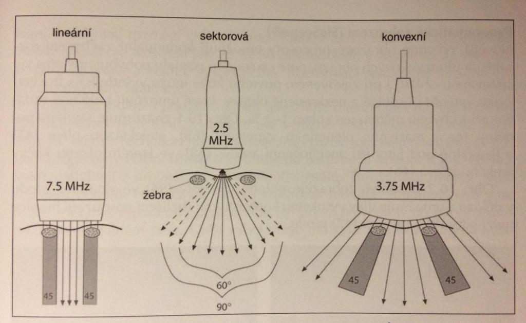 Příloha 22: Typy ultrazvukových sond Zdroj: Hofer, Matthias.