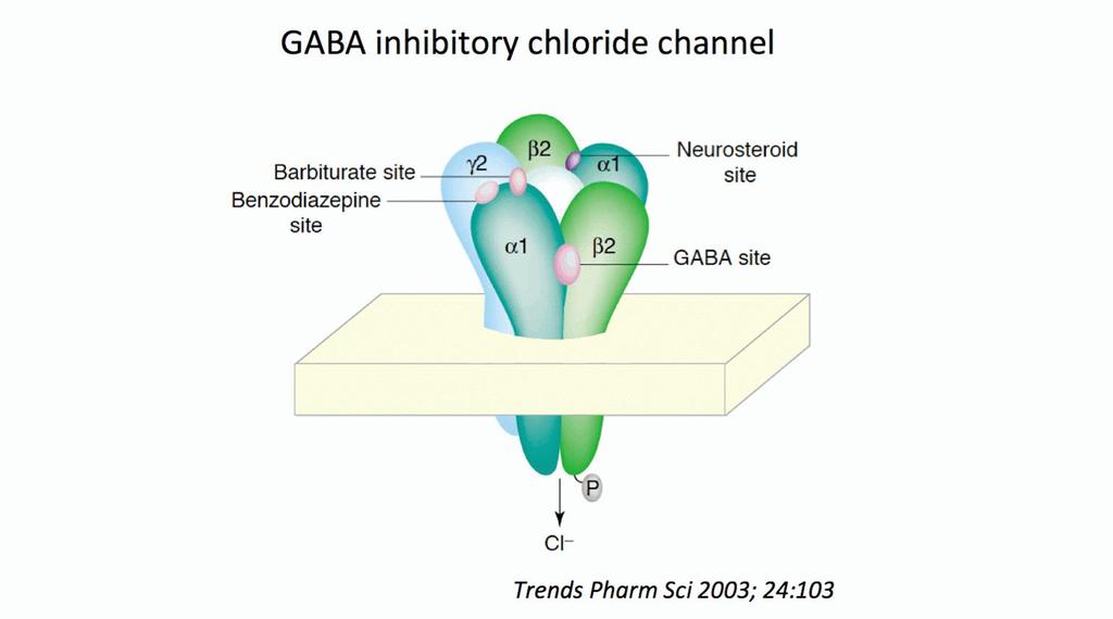 Syndrom z odnětí Jiný patofyziologický mechanismus GABA NMDA