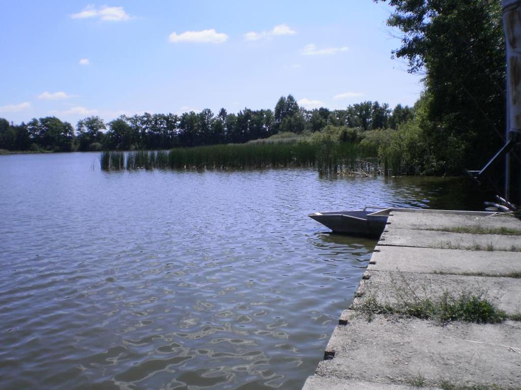 suchozemskými ekosystémy, dobře strukturovaný má velkou biodiverzitu - klasický přístup k hodnocení