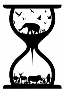 Oddělení nik v čase prostředí se v čase mění (diurnální cykly, změny klimatu) druhy využívají stejný zdroj v jinou dobu př.