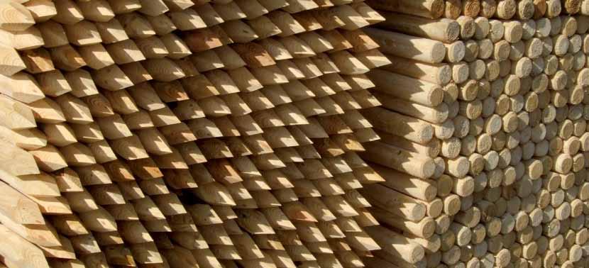Dřevěné kůly Akátové kůly I Kůly se štípou ručně, z důvodu udržení a neporušení souběžnosti vláken dřevní hmoty. Kůly jsou především určeny pro strojové zatloukání.