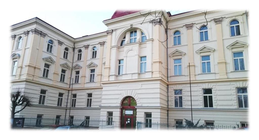 Ústav sv. Jana Nepomuka Neumanna Pobočka Vysoké školy zdravotníctva a sociálnej práce sv. Alžbety Bratislava n. o., byla v Příbrami zřízena jako detašované pracoviště od akademického roku 2006/2007.