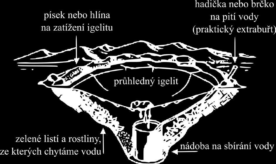 Pokud máš k dispozici brčko, bužírku nebo nějakou čistou trubičku, můžeš svou past na vodu vylepšit tak, aby šlo vodu pít bez rozebírání celé studny stačí jeden konec zastrčit do nádoby na vodu a