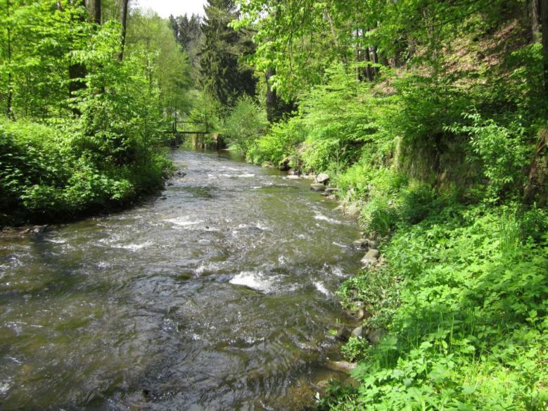 Na minimálně polovině délky je opevněna opěrnými zdmi, které se postupem času díky nestabilitě podlož, narušeným základů zdí a díky probíhající erozi dna postupně rozpadají.